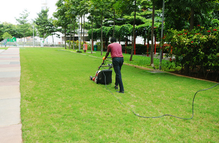 Landscape & Gardening Services